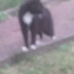 Meet your Posher, Richard